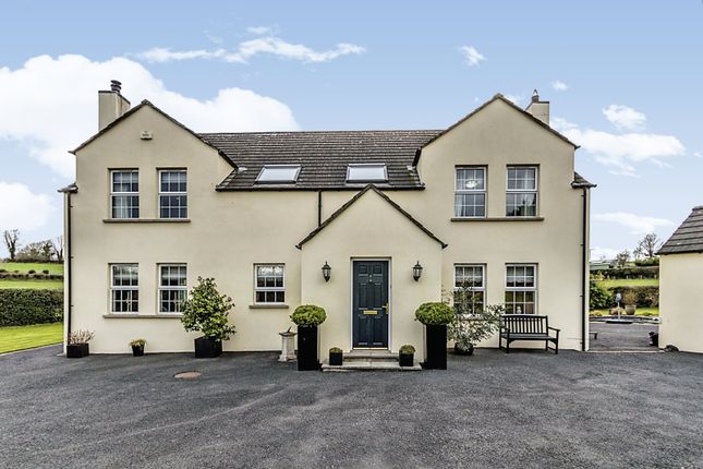 Thumbnail Detached house for sale in Killysorrell Road, Dromore, County Down