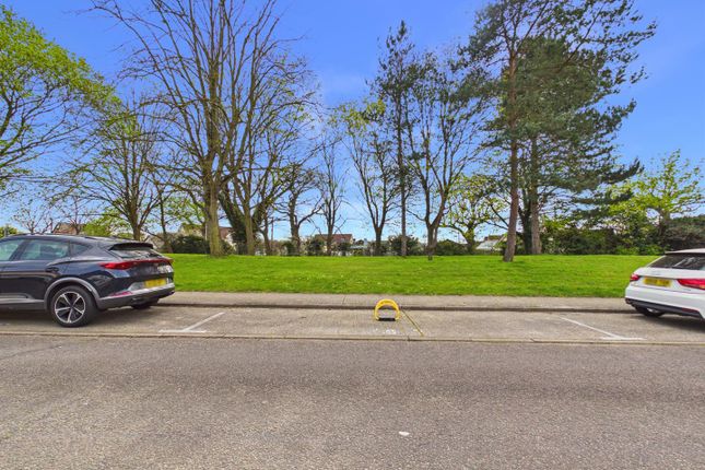 6, Kohima Road, Colchester photo 4