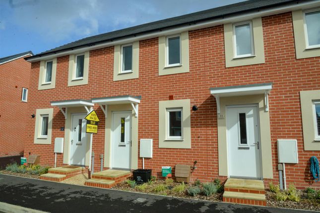 Thumbnail Terraced house to rent in Augusta Drive, Bridgwater