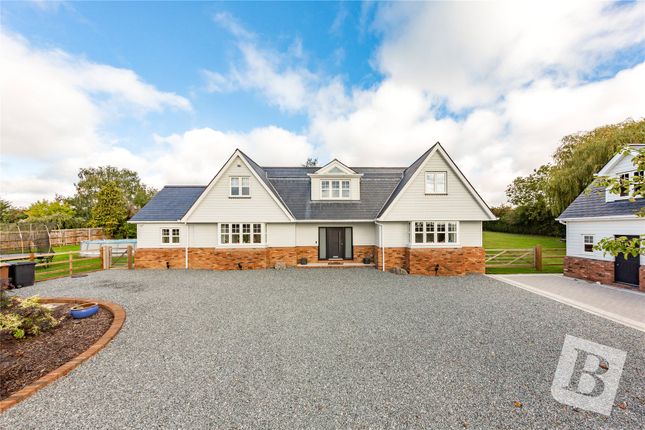 Thumbnail Detached house for sale in South Hanningfield Road, Rettendon Common, Chelmsford, Essex