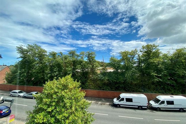 8C, Belle Vue Crescent, Ashbrooke photo 5