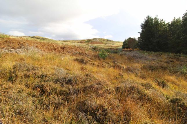 Land for sale in Strath, Gairloch