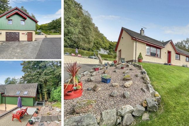 Thumbnail Bungalow for sale in 6B Roy Roy Road, Kinlocheven, Argyllshire