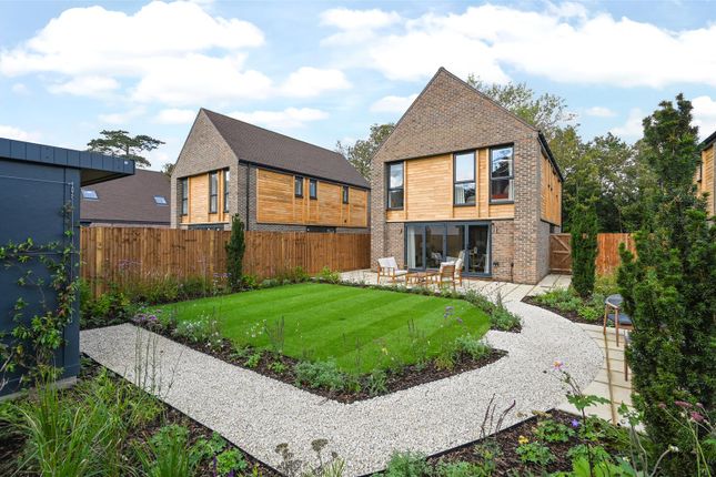 Thumbnail Detached house for sale in Hanlye View, Haywards Heath