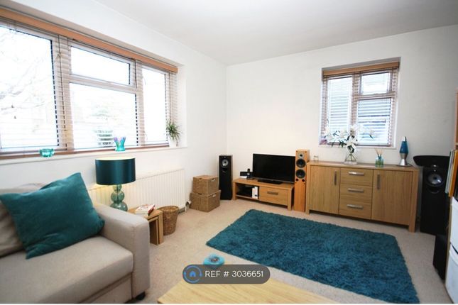 The Willoughbys, London photo 2