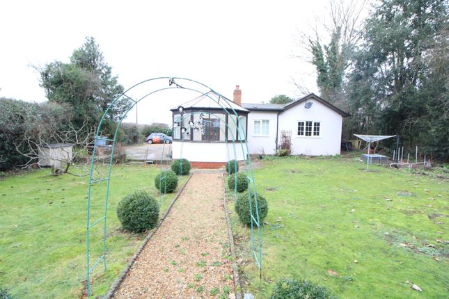 Thumbnail Detached bungalow to rent in Honey Tye, Leavenheath, Colchester