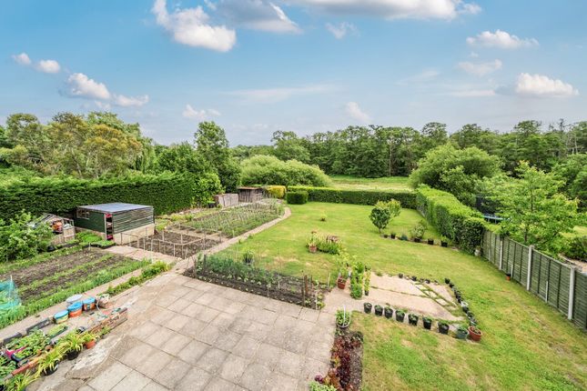 Westbourne,, Kemishford, Worplesdon photo 4