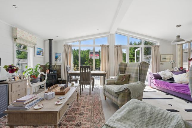 Herne Lodge, Rockcliffe, Dollar photo 2