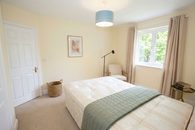 Harrow photo 5