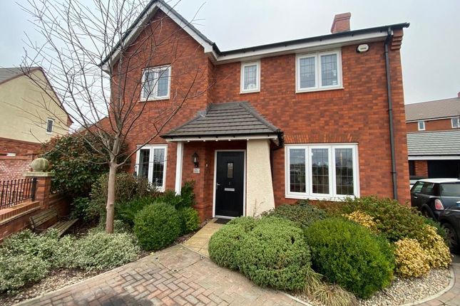 Thumbnail Detached house to rent in Holmer, Hereford