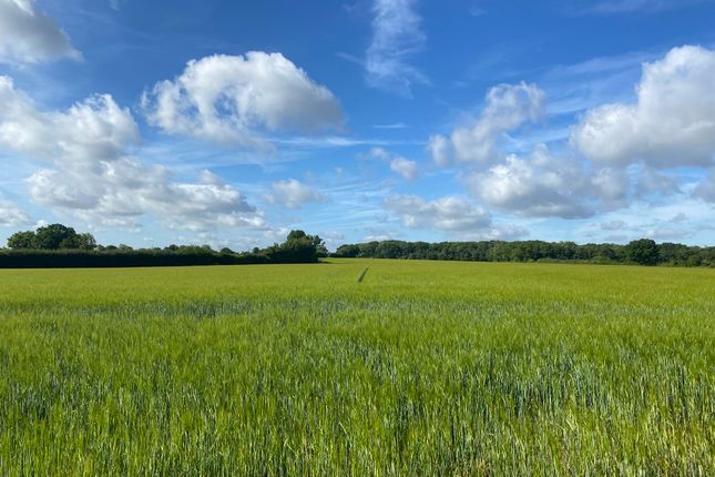 Thumbnail Land for sale in Woodgates End, Broxted