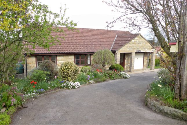 Thumbnail Bungalow to rent in Well Bank, Well, Bedale