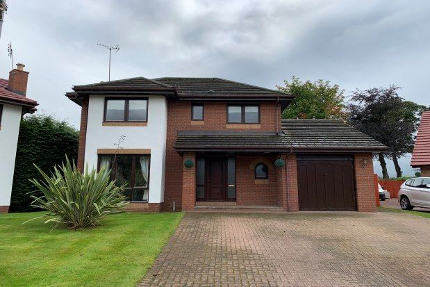 Thumbnail Property to rent in Grieve Croft, Bothwell