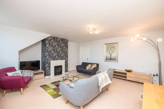 15/8, East Suffolk Park, Edinburgh photo 4