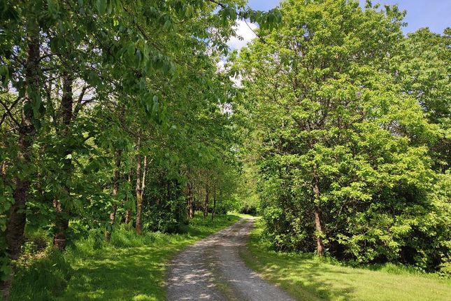 Good Lane To House