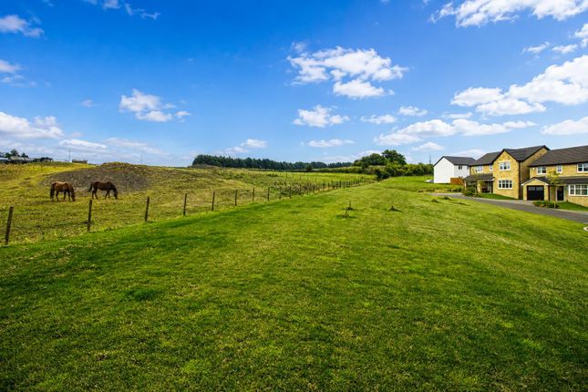 4, Day Terrace, Darwen photo 4