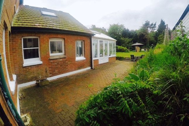 Property For Sale In Dorset With Large Garden Property For Sale In Dorset With Large Garden
