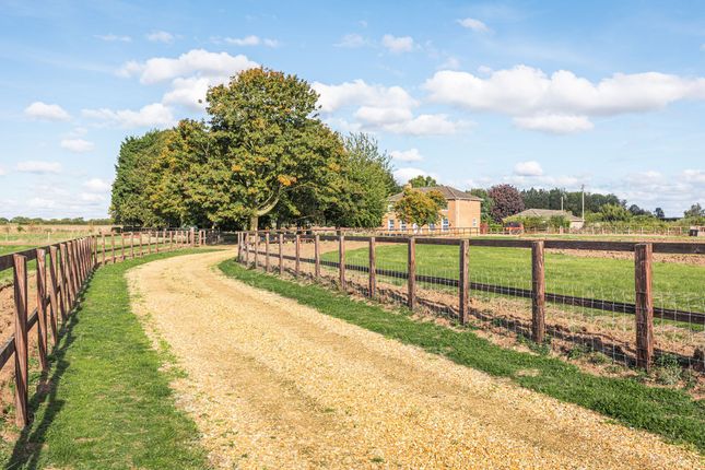 Winyards Methwold Road, Thetford photo 4