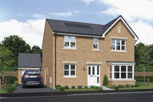 Thumbnail Detached house for sale in "Langwood Alt" at Pine Crescent, Moodiesburn, Glasgow
