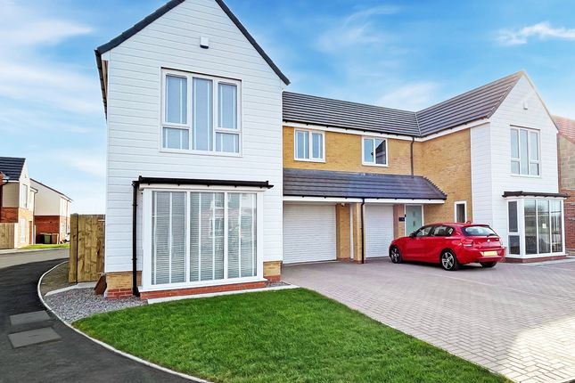 Thumbnail Detached house for sale in Forest Avenue, Hartlepool