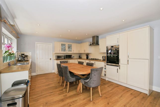 5, Primrose Hill, March photo 2