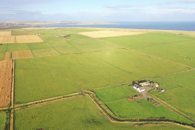 Land for sale in Land At Westburn Farm, Murkle, Thurso, Caithness
