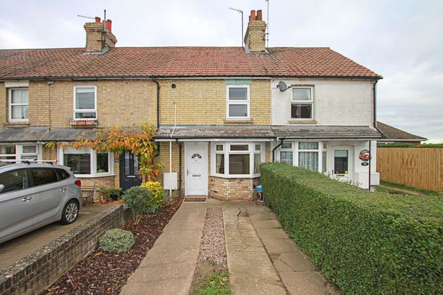 Thumbnail Terraced house to rent in Mildenhall Road, Fordham