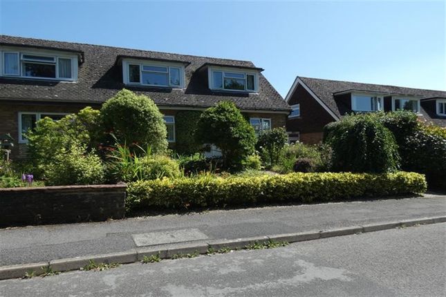 Thumbnail Semi-detached house to rent in 8 Highfield Close, Easebourne, Midhurst, West Sussex