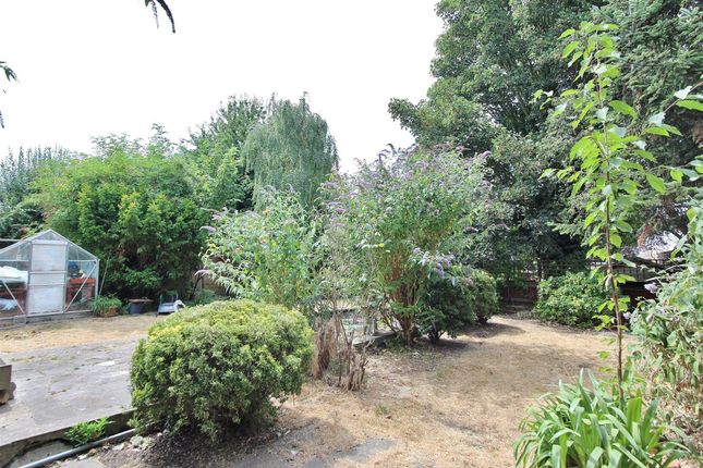Communal Garden