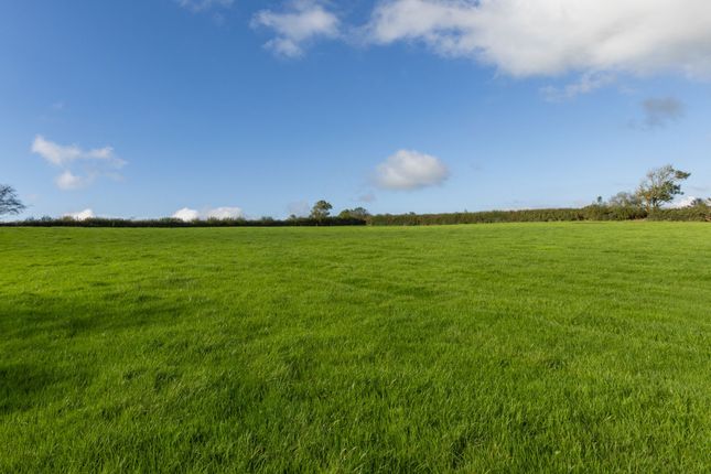 Land at Higher Troswell - 44.53 acres, Troswell, Launceston photo 3