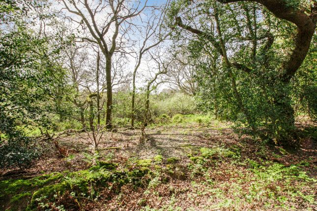 Land for sale in Oldlands Hill, Fairwarp, Uckfield