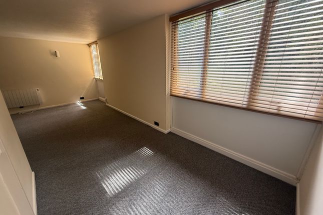52, Bristol photo 4