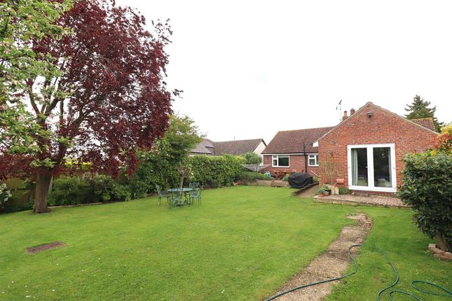 Detached bungalow for sale in Fairstead Road, Terling, Chelmsford