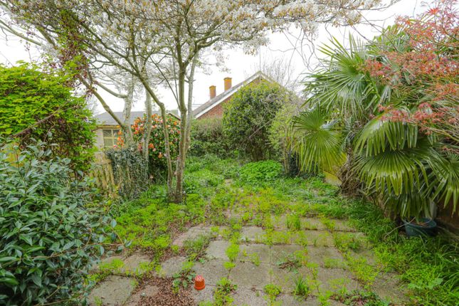 18, Edmund Street, Canterbury photo 4