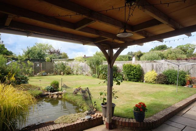 Edited Garden Photos.Jpg