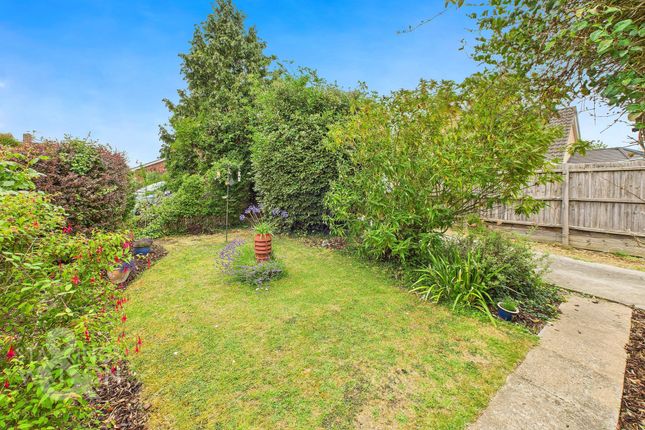 28 Lime Tree Avenue, Norwich photo 2