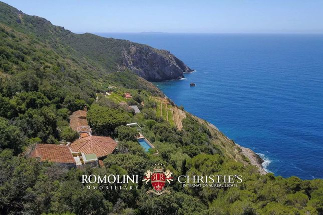 Thumbnail Villa for sale in Monte Argentario, 58019, Italy