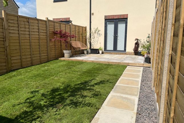 Sunny Back Garden