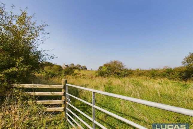 Separate Pony Paddock Opposite
