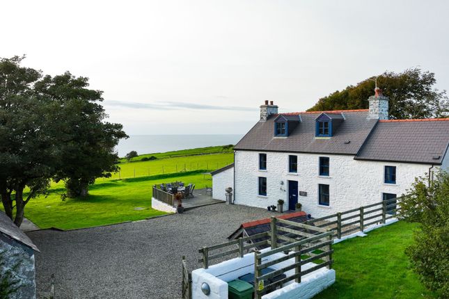 Erwan Fach, Llangrannog, Ceredigion photo 2