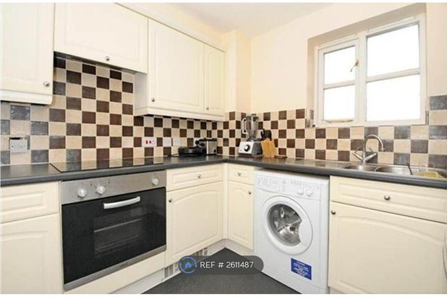 Modern Well Appointed Kitchen