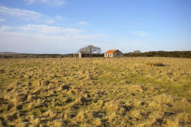 Land for sale in Bower, Wick