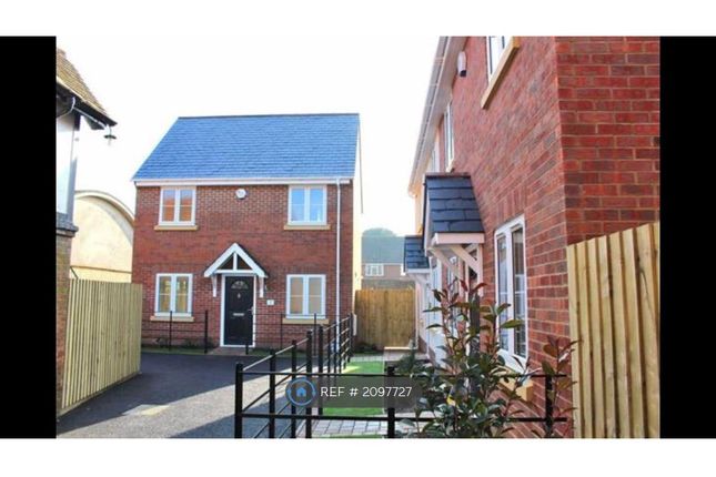 Thumbnail Detached house to rent in Highcliffe Mews, Highcliffe