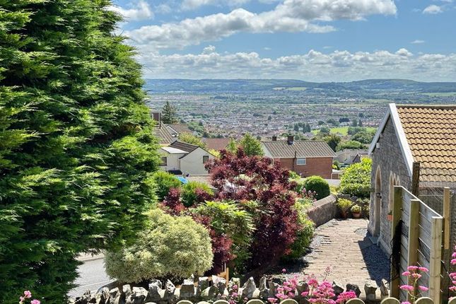 View From Garden