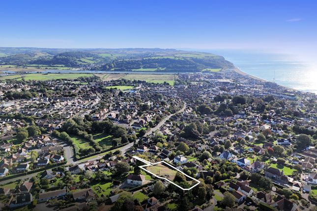 View Of Site Outlined