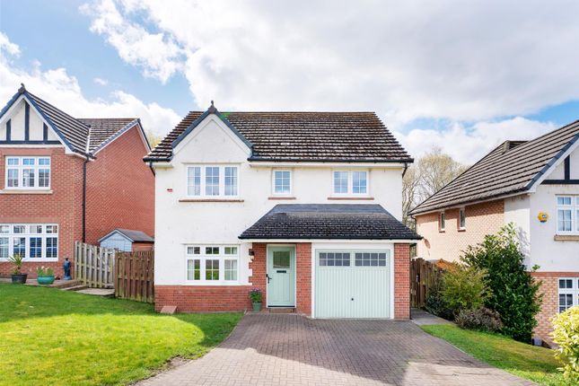 16, Vesuvius Drive, Motherwell photo 2