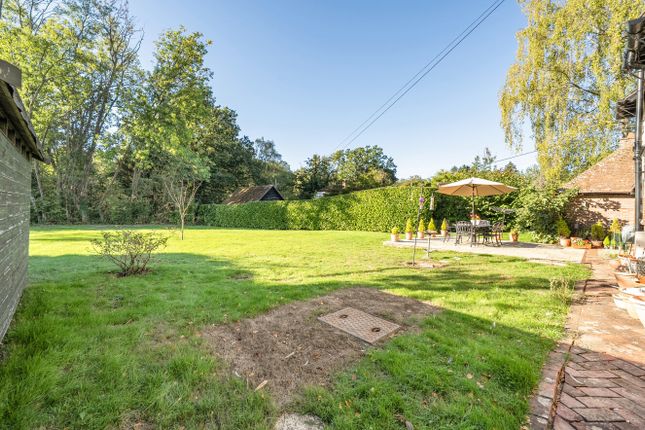 Hatchbolt,, Prestwick Lane, Godalming photo 4