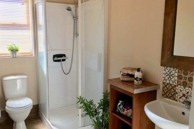 Bright, Well-Kept Bathroom Featuring A Modern Show...