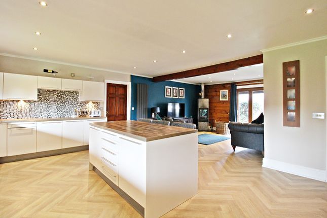 Kitchen-Diner-Family Room