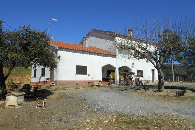 Thumbnail Farmhouse for sale in Monsanto, Monfortinho E Salvaterra Do Extremo, Idanha-A-Nova, Castelo Branco, Central Portugal